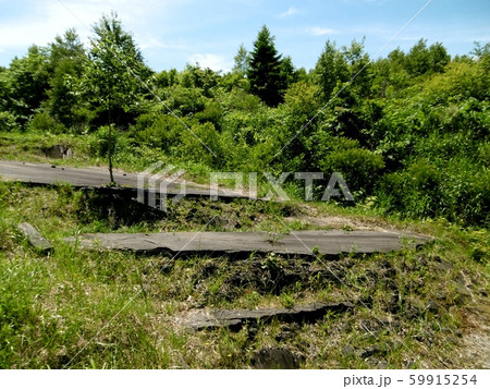 有珠山西山山麓火口散策路 有珠山西山山麓火口散策路 59915254