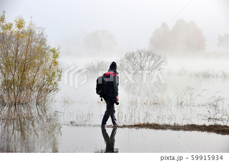湖 風景 朝 59915934