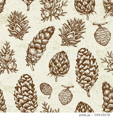 Vintage seamless pattern with evergreen plants Vintage seamless pattern with evergreen plants 59916076