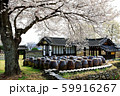 大興洞古着 桜 春 59916267