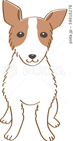ジャック ラッセル テリア 犬 ペット 室内犬 小型犬 かわいい シンプル 見つめる 元気のイラスト素材