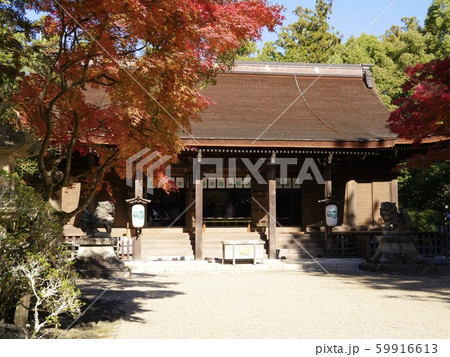 多田神社 多田神社 59916613
