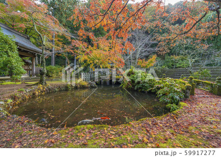 伊豆市 紅葉 鯉 池 伊豆市 紅葉 鯉 池 59917277