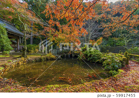 伊豆市 紅葉 鯉 池 伊豆市 紅葉 鯉 池 59917455