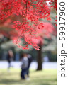 赤い紅葉に霞む人影 59917960