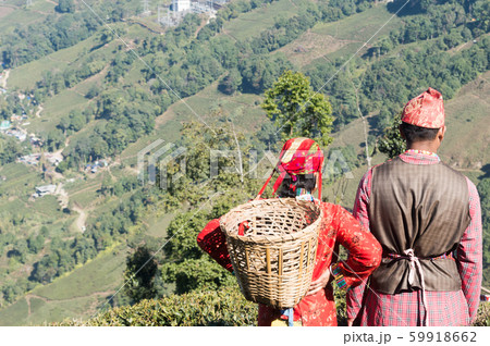 Beautiful young couple in love. Indian tea puckers 59918662