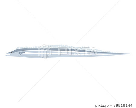 太刀魚のイラスト 59919144