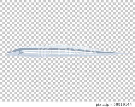 太刀魚のイラスト 59919144