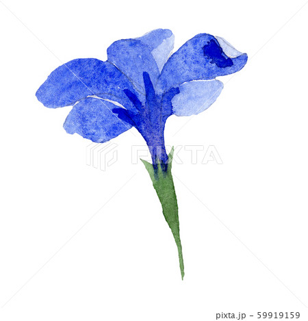 Tall Wild Phlox: Over 630 Royalty-Free Licensable Stock Illustrations &  Drawings | Shutterstock