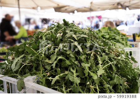 fresh arugula on sale in Rome, Italy. fresh arugula on sale in Rome, Italy. 59919388