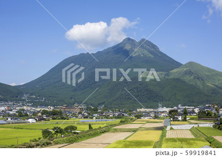 湯布院　由布岳 59919841