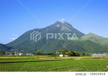 湯布院 田園 湯布院 田園 59920958