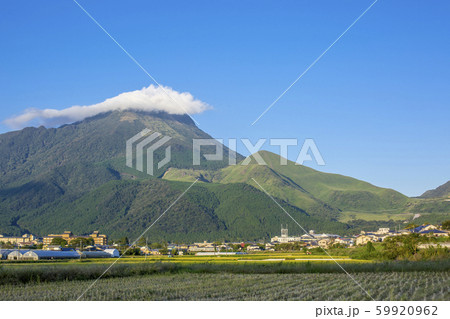 湯布院　田園 59920962