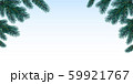 Green Christmas tree branches 59921767