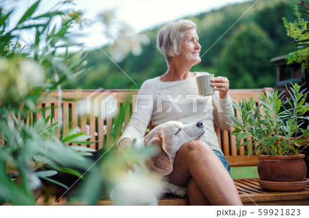 A senior woman with a dog and coffee sitting outdoors on a terrace in summer. 59921823