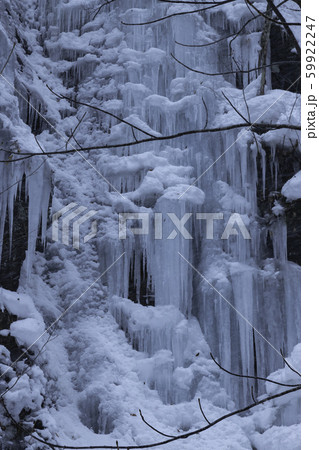 冬の奥入瀬渓流 冬の奥入瀬渓流 59922247