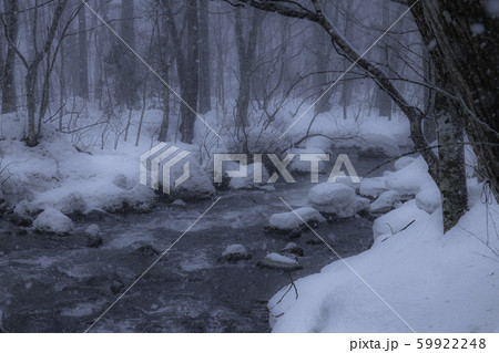 冬の奥入瀬渓流 59922248