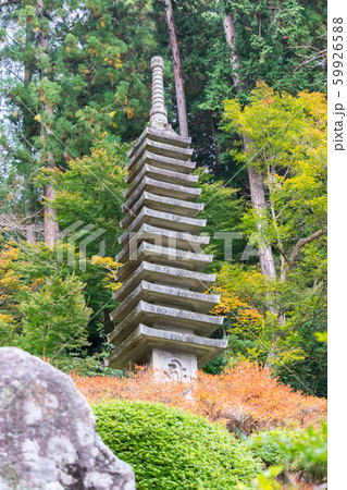 岡寺9994 岡寺9994 59926588