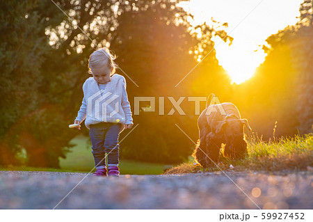 happy child with their dog black schnauzer enjoy play in autumn park happy child with their dog black schnauzer enjoy play in autumn park 59927452