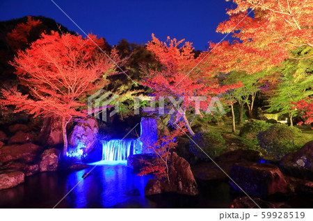 秋の耶馬溪・溪石園（ライトアップ）Ⅸ 59928519