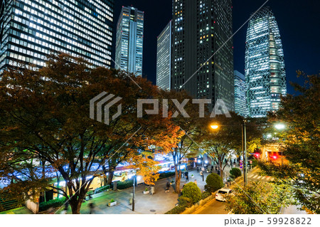 西新宿・夜景 西新宿・夜景 59928822