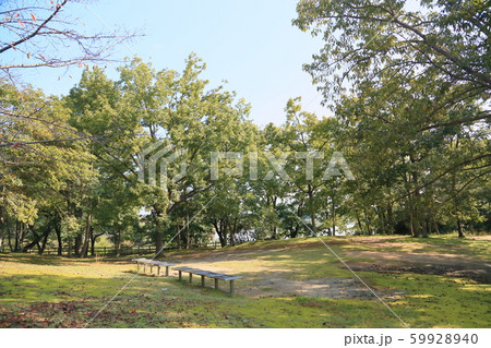 秋の公園 59928940