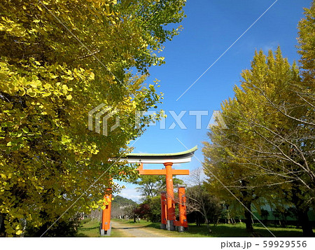 薩摩国一宮　新田神社(薩摩川内市） 59929556