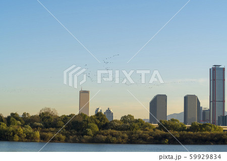 風景 高層ビル 汝矣島 59929834