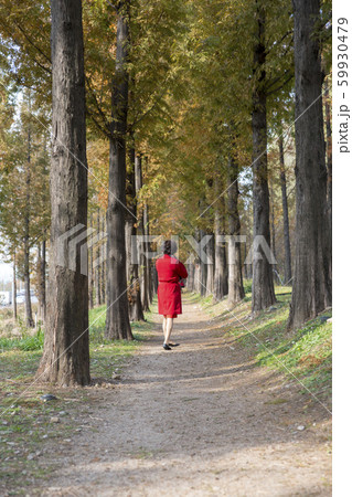 自然 風景 韓国 59930479