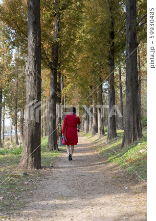 自然 風景 韓国 59930485