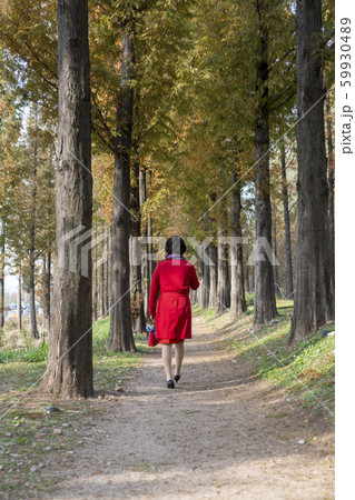 自然 風景 韓国 59930489
