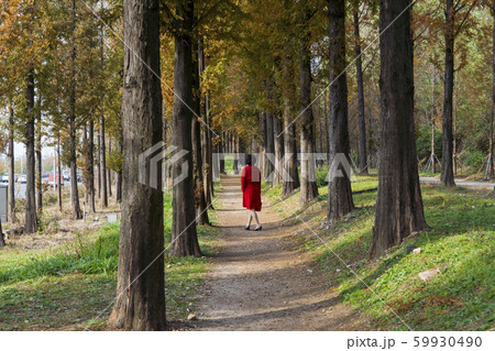 自然 風景 韓国 59930490