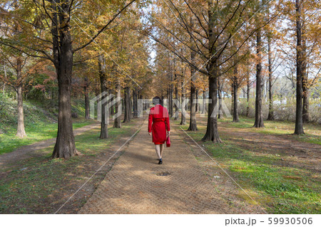 自然 風景 韓国 59930506