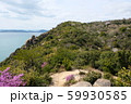 王子が岳 山肌と岩 59930585