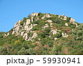 タイトル　王子が岳 山肌（岩とツツジ） 59930941