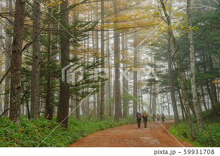 早朝の上高地【長野県上高地】 早朝の上高地【長野県上高地】 59931708