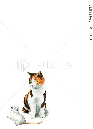 水彩で描いた三毛猫とねずみのイラストの年賀状のイラスト素材 
