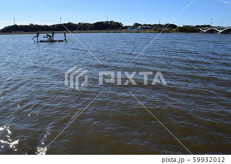 手賀沼（てがぬま） 59932012