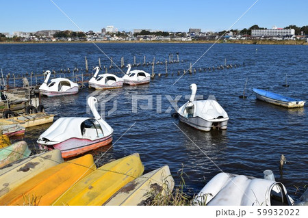 手賀沼（てがぬま） 59932022