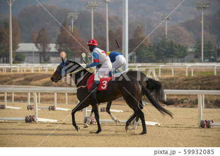 競馬 レース 果川市 59932085