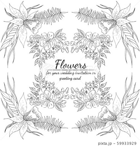 Tropical hand drawn floral frames. Outline set. 59933929