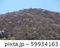国見岳 山頂 国見岳 山頂 59934163