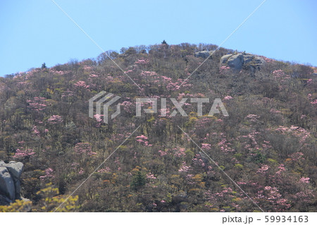 国見岳 山頂 国見岳 山頂 59934163