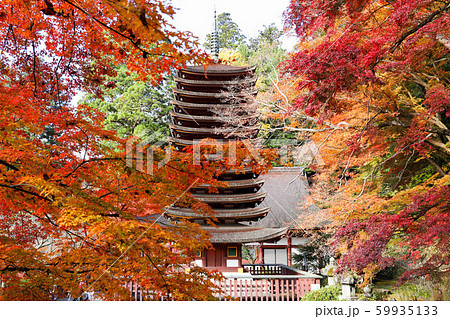 談山神社 談山神社 59935133