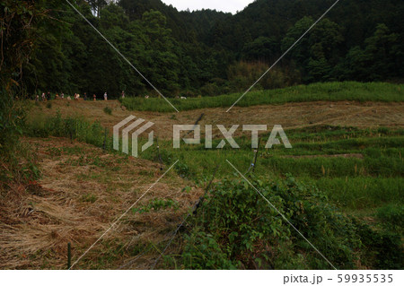 四季の散歩　春　大垪和西の棚田 59935535