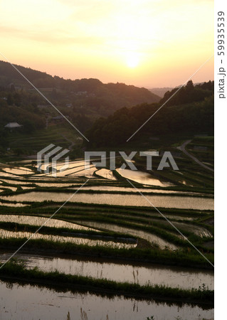 四季の散歩 春 大垪和西の棚田 四季の散歩 春 大垪和西の棚田 59935539
