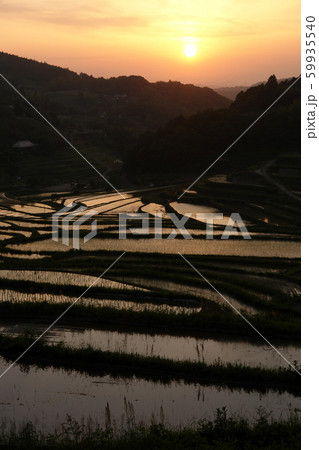 四季の散歩　春　大垪和西の棚田 59935540