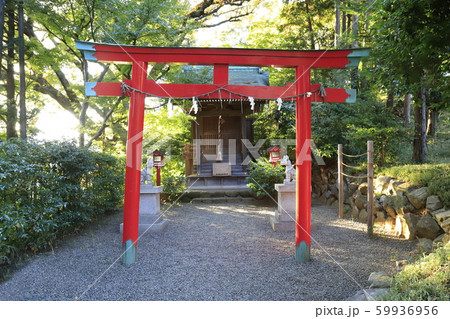 ホテル椿山荘 庭園の白玉稲荷神社 東京都文京区 ホテル椿山荘 庭園の白玉稲荷神社 東京都文京区 59936956