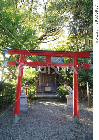 ホテル椿山荘 庭園の白玉稲荷神社 東京都文京区 ホテル椿山荘 庭園の白玉稲荷神社 東京都文京区 59936957