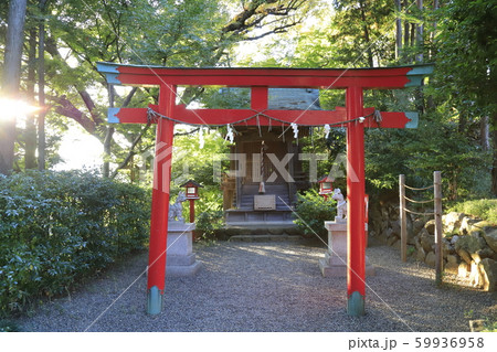 ホテル椿山荘 庭園の白玉稲荷神社 東京都文京区 ホテル椿山荘 庭園の白玉稲荷神社 東京都文京区 59936958